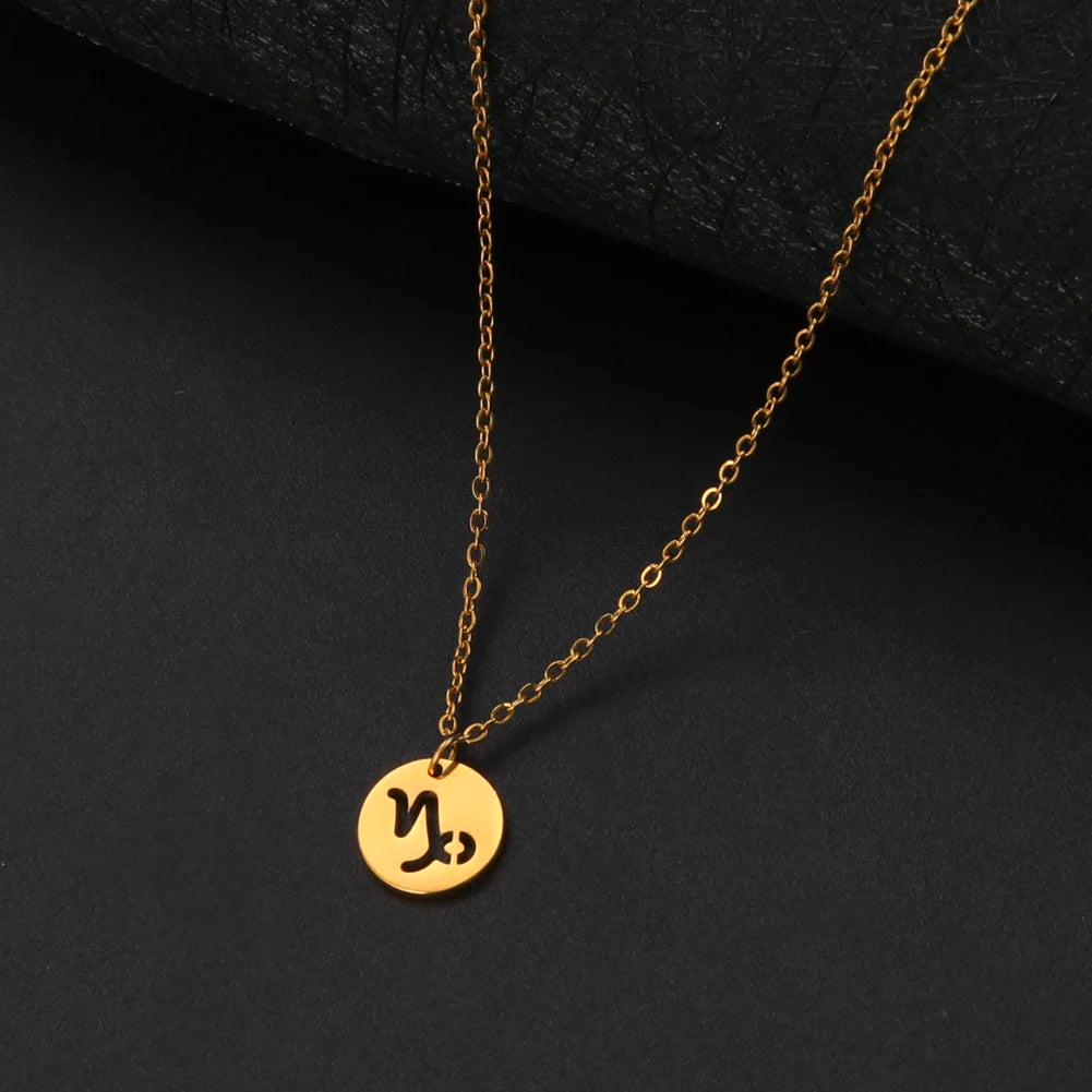 Zodiac Stainless Steel Necklace